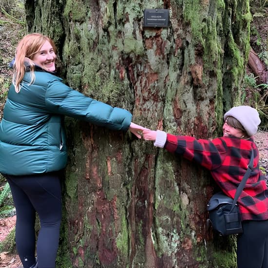 Forest Park Urban Hiking Tour, Portland